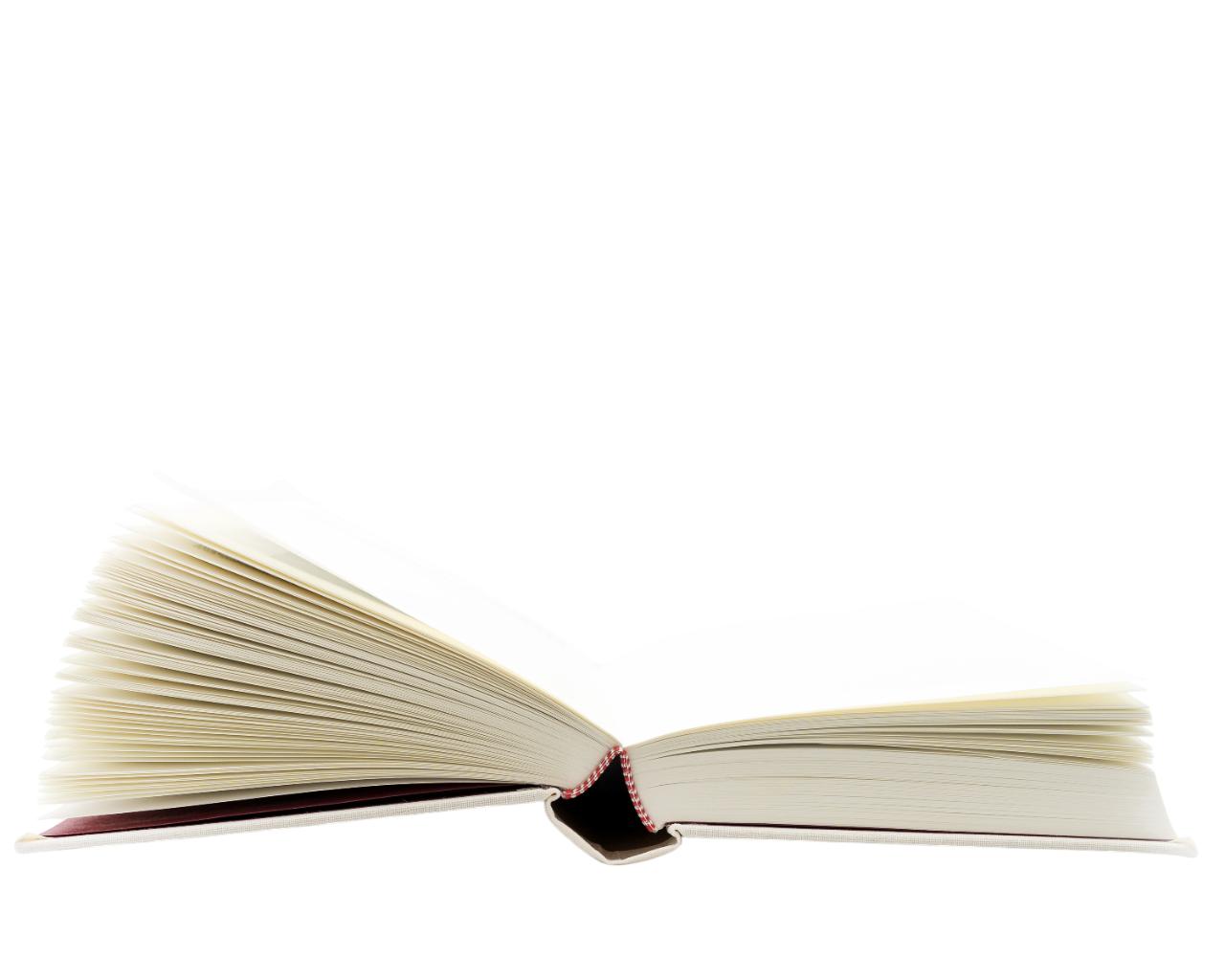 My Favorite Activity